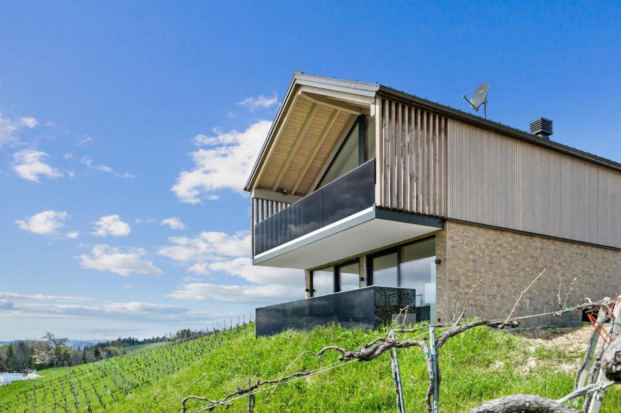 Apartment Luxus Max *
